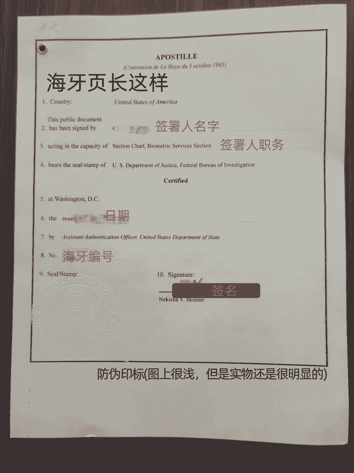美国FBI无犯罪记录海牙认证