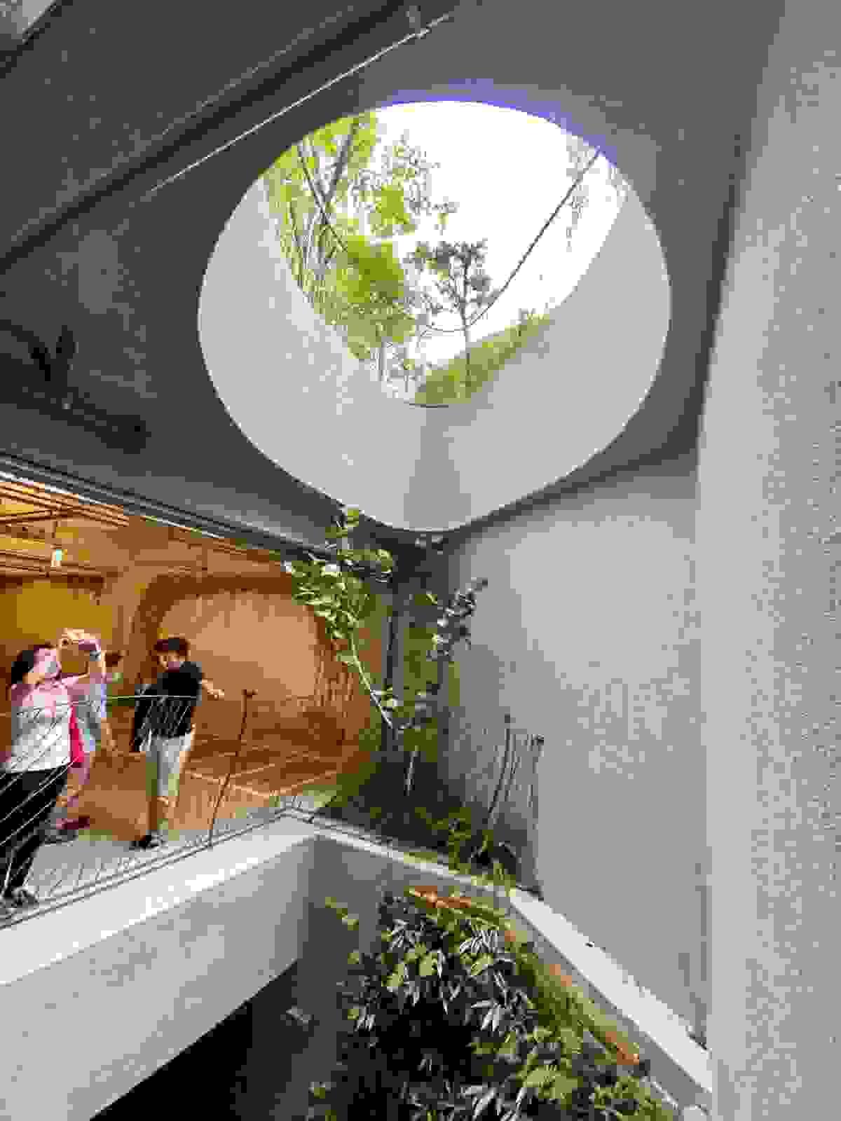 Section image