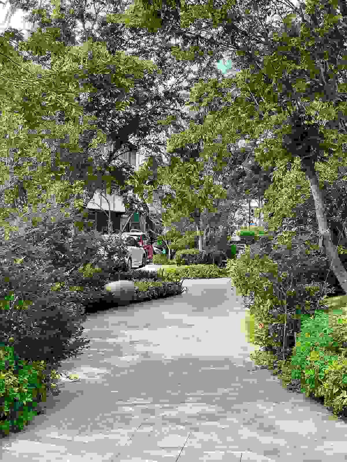 Section image