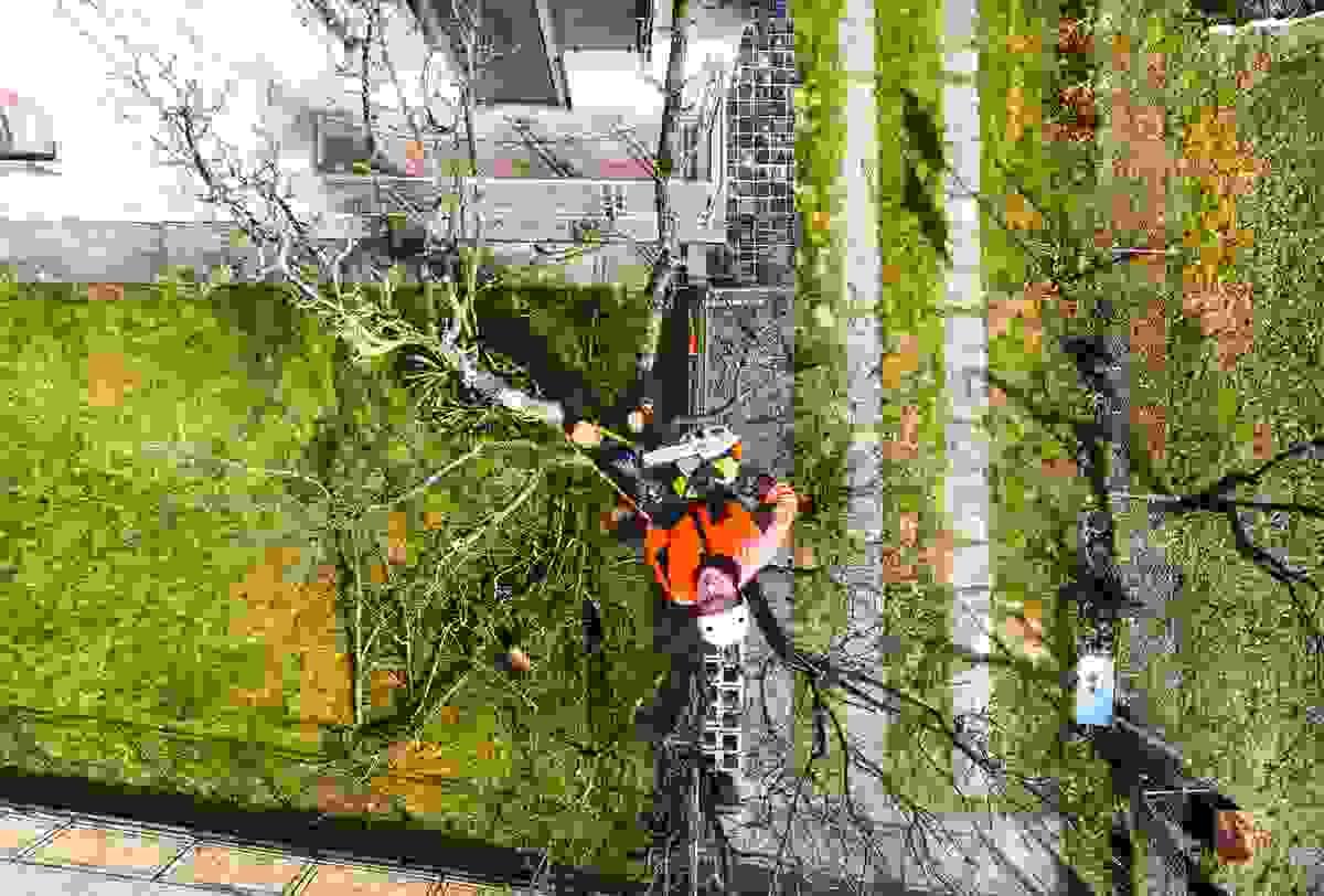 broken image