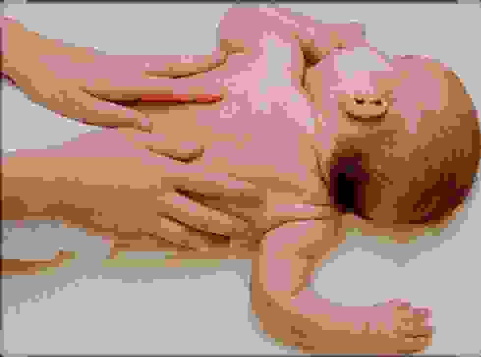 Section image