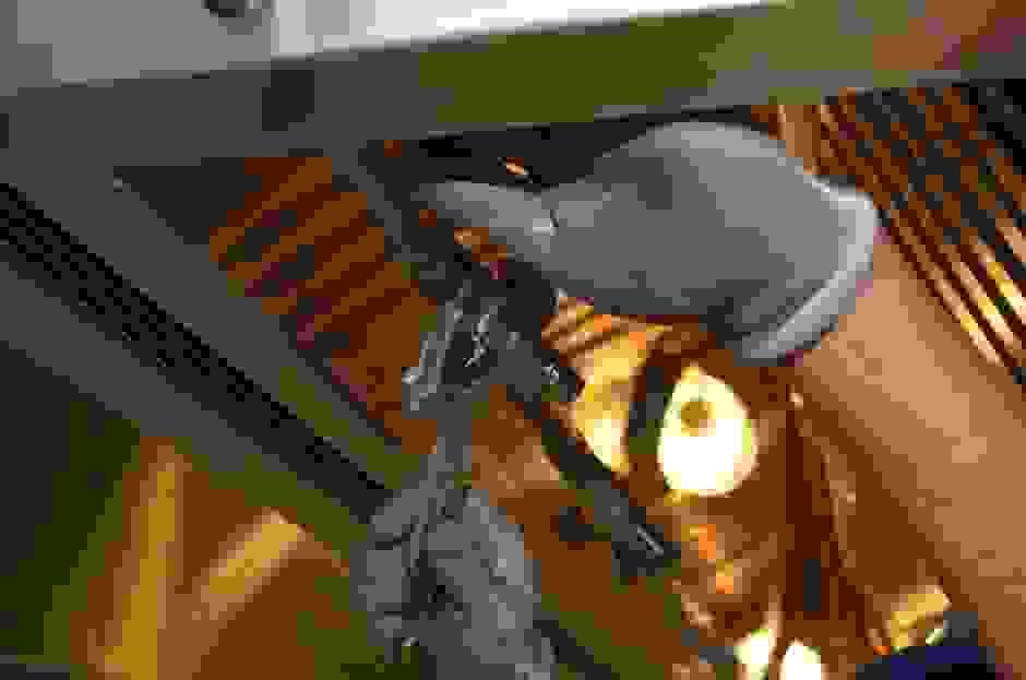 broken image