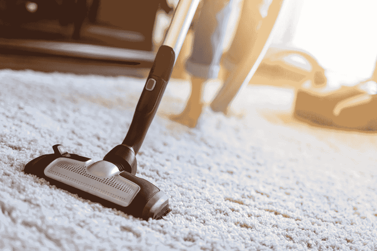 The Importance of Professional Carpet Cleaning in Canto...