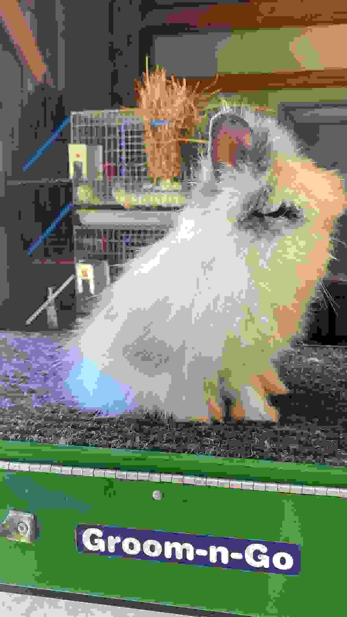 broken image