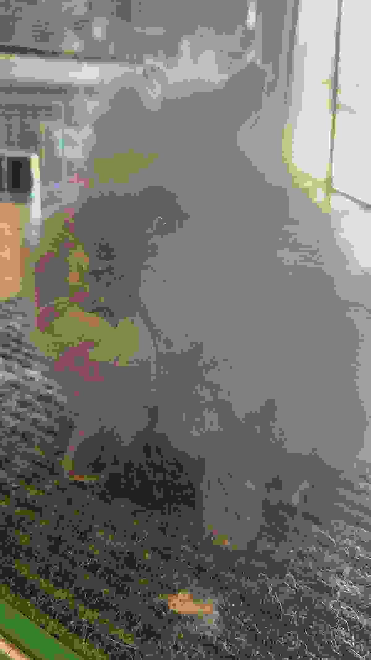 Section image