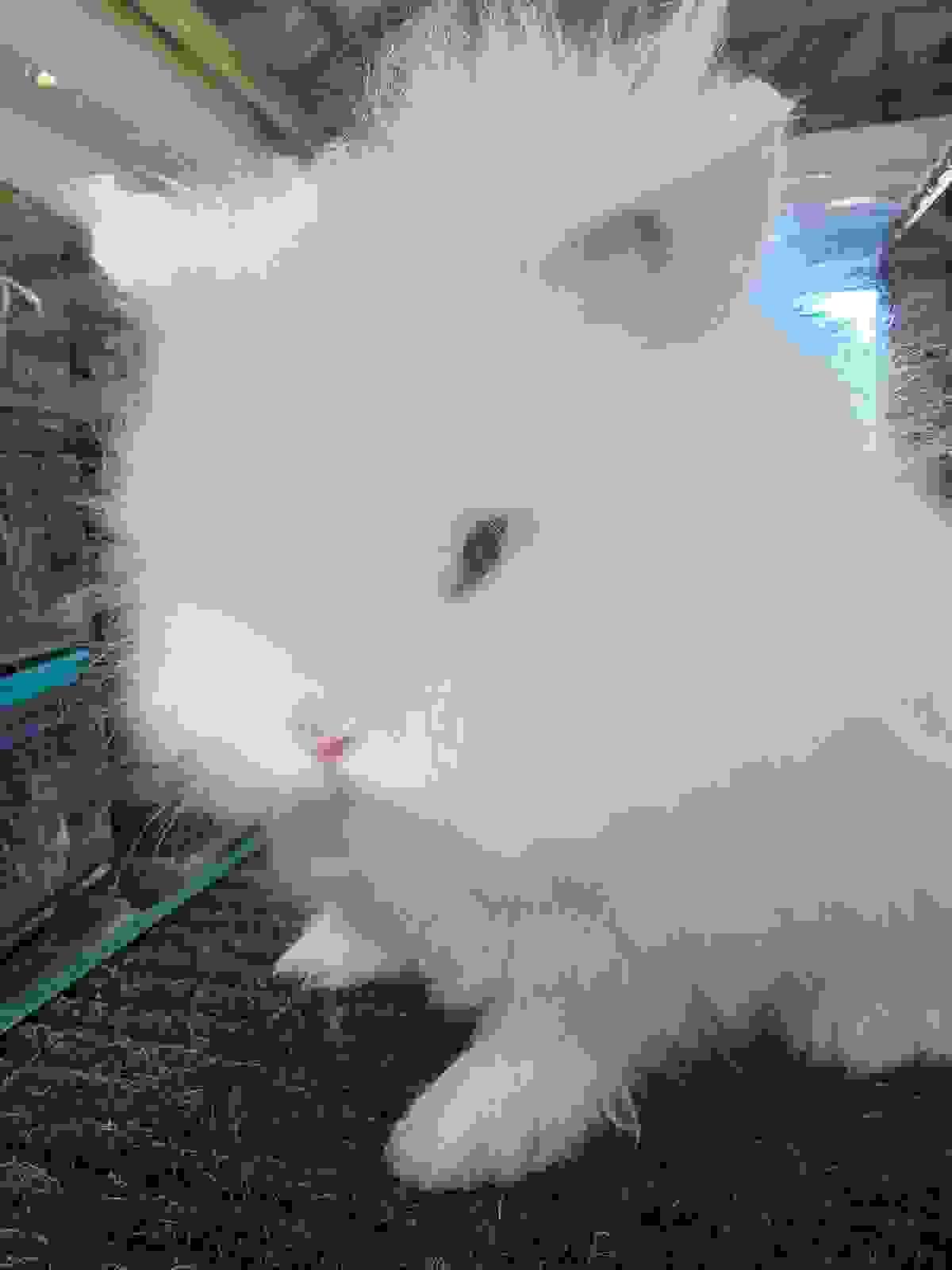 broken image