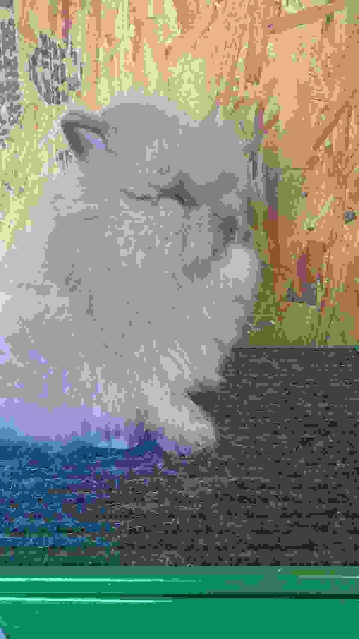 Section image