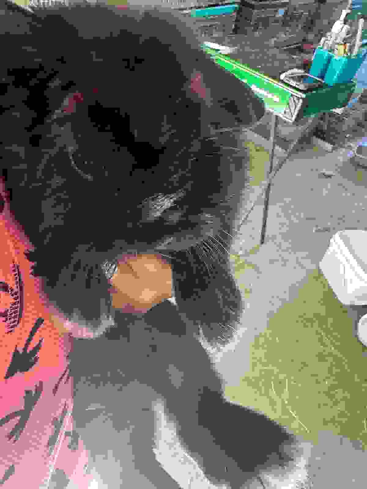 broken image