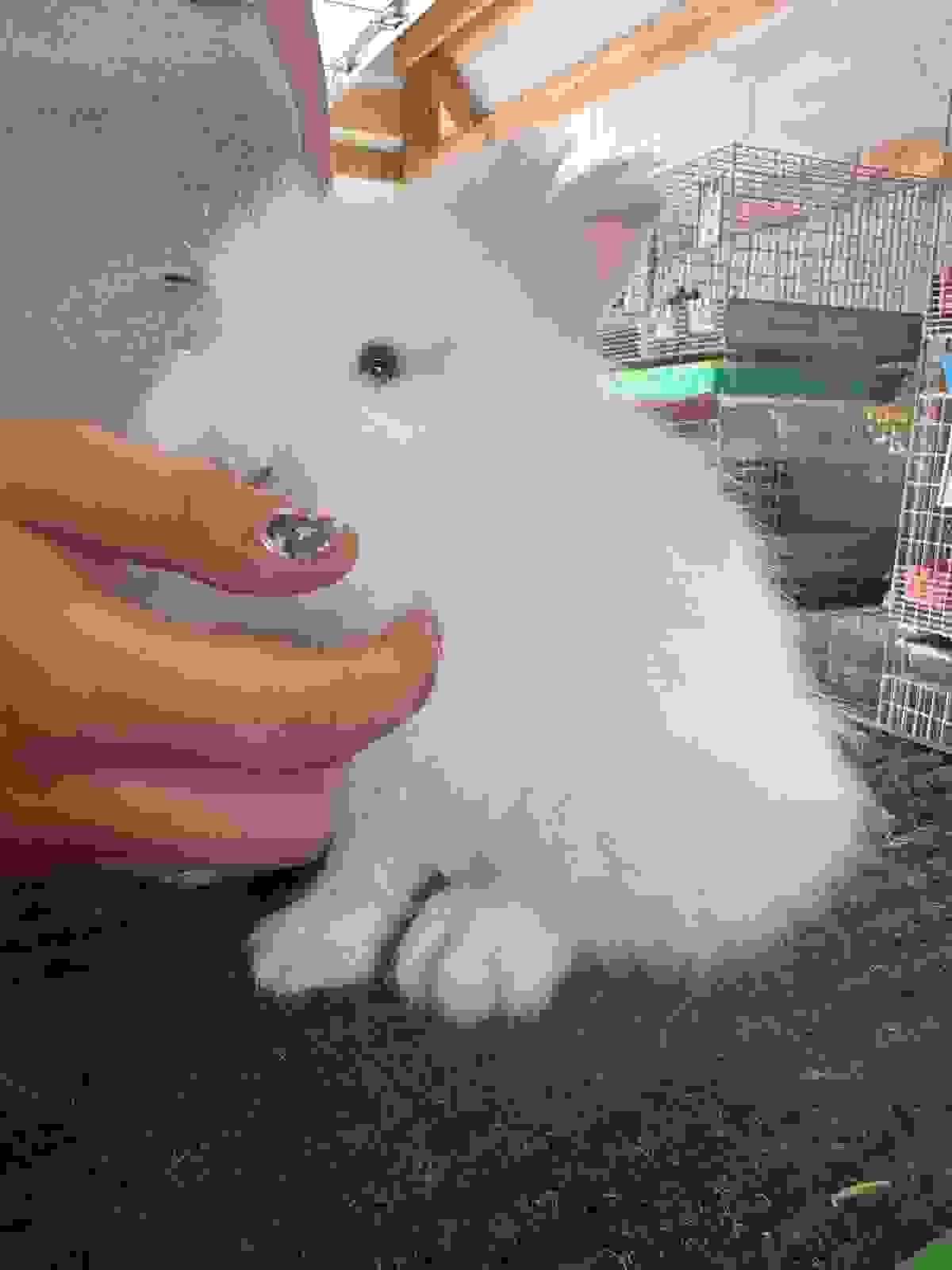 broken image