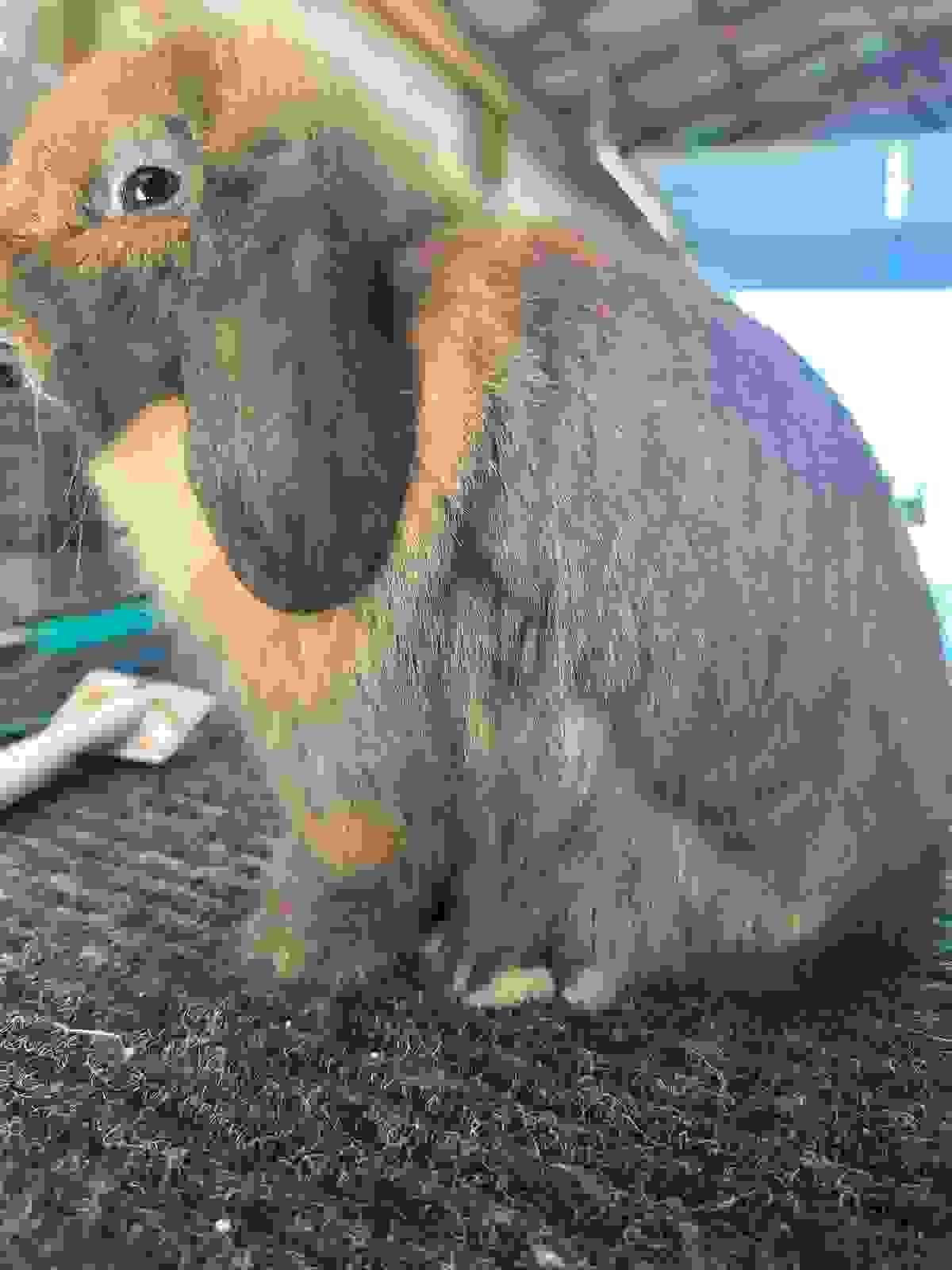 broken image