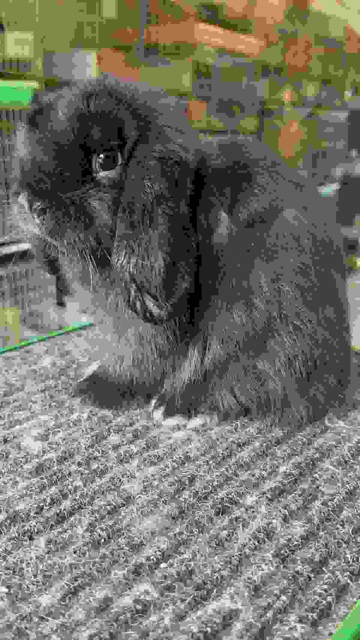broken image