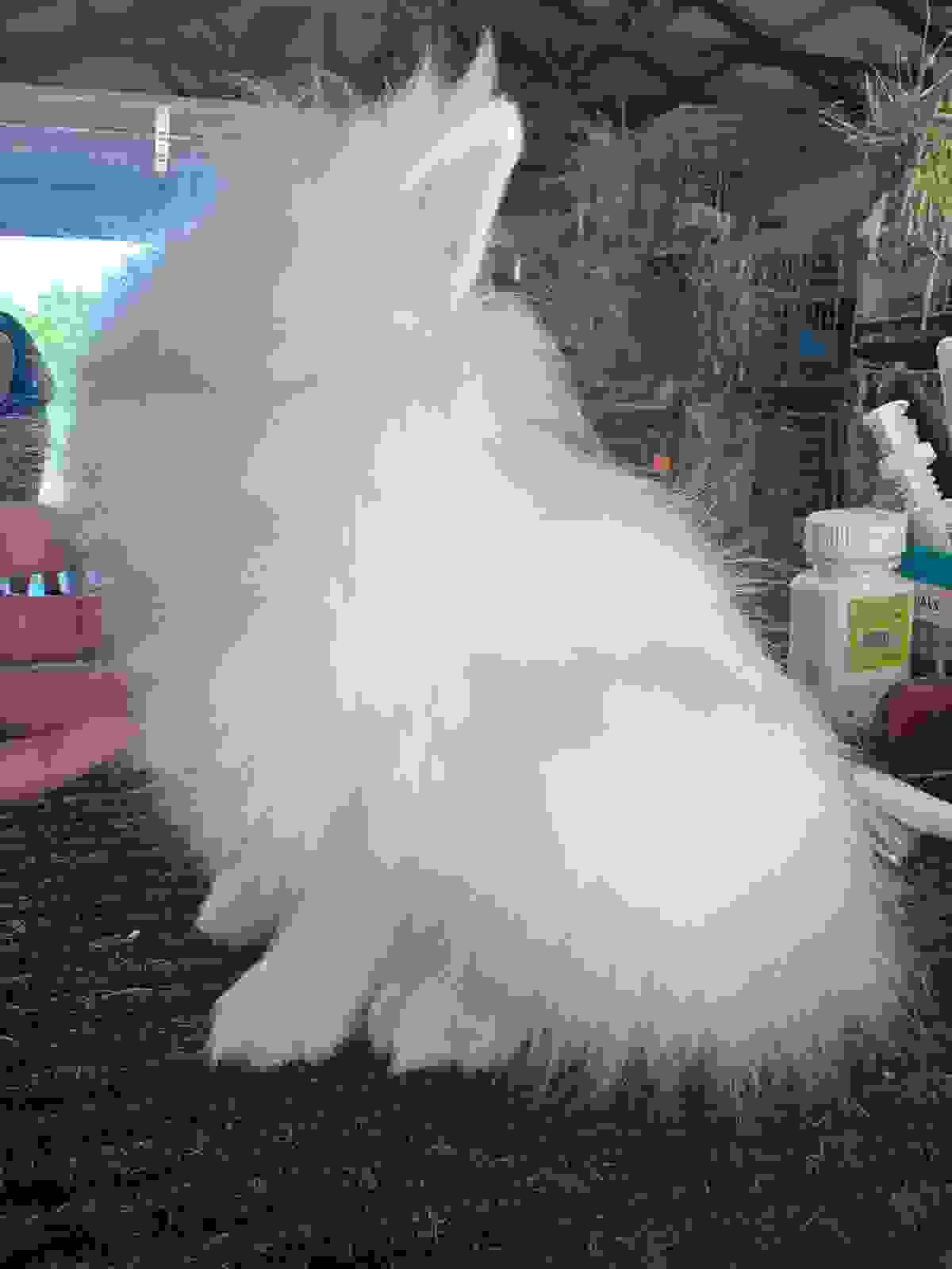broken image