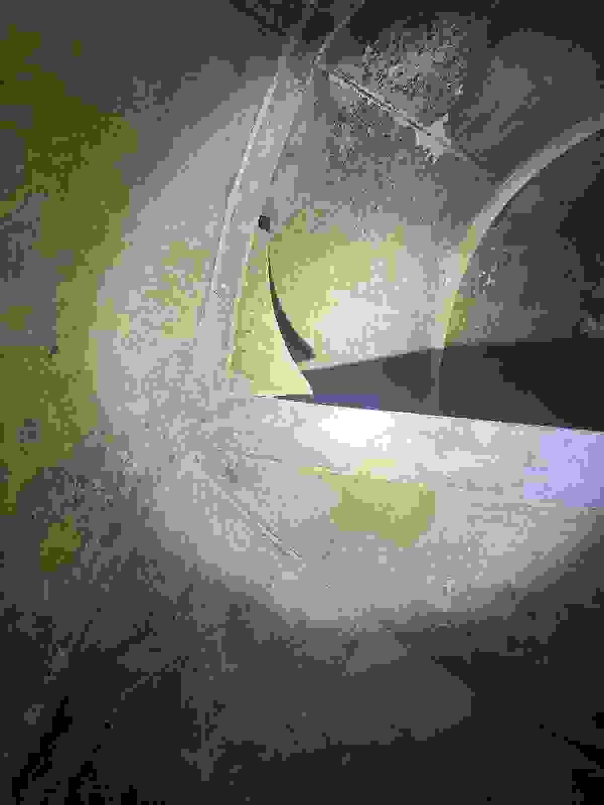 broken image
