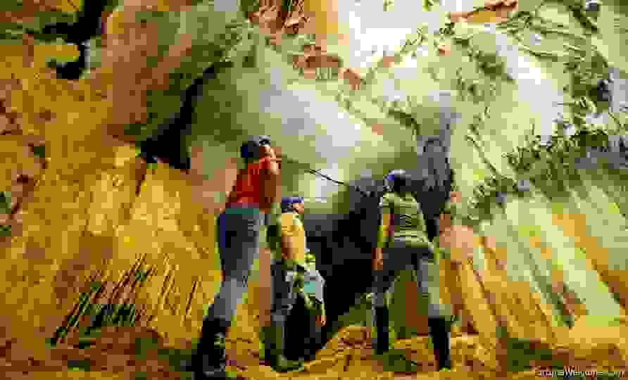 Section image