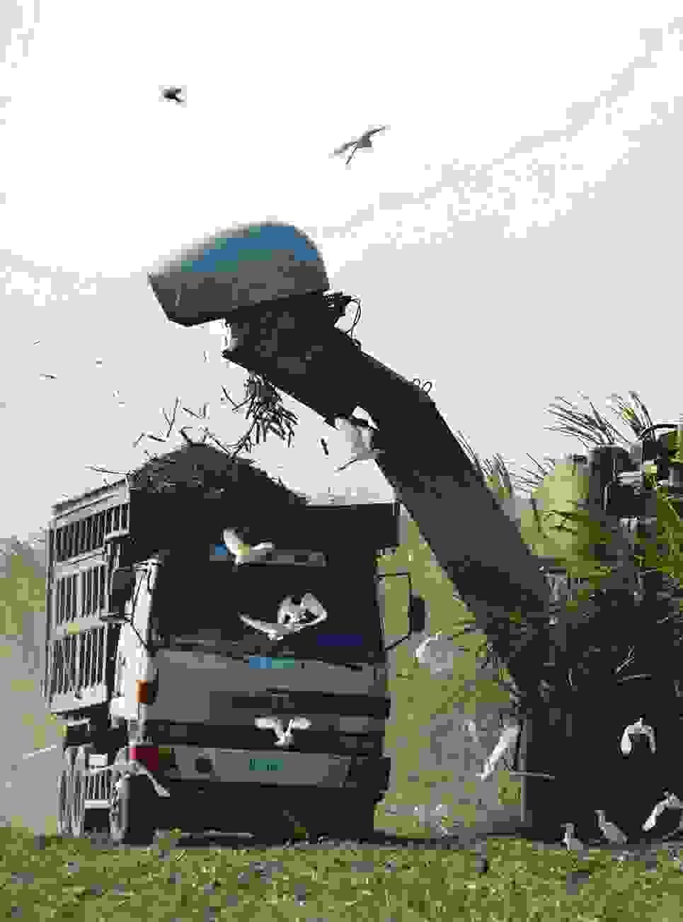 broken image