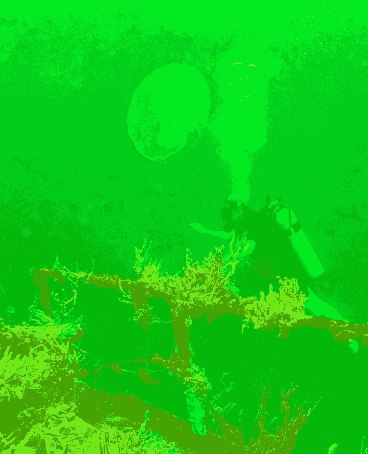 broken image
