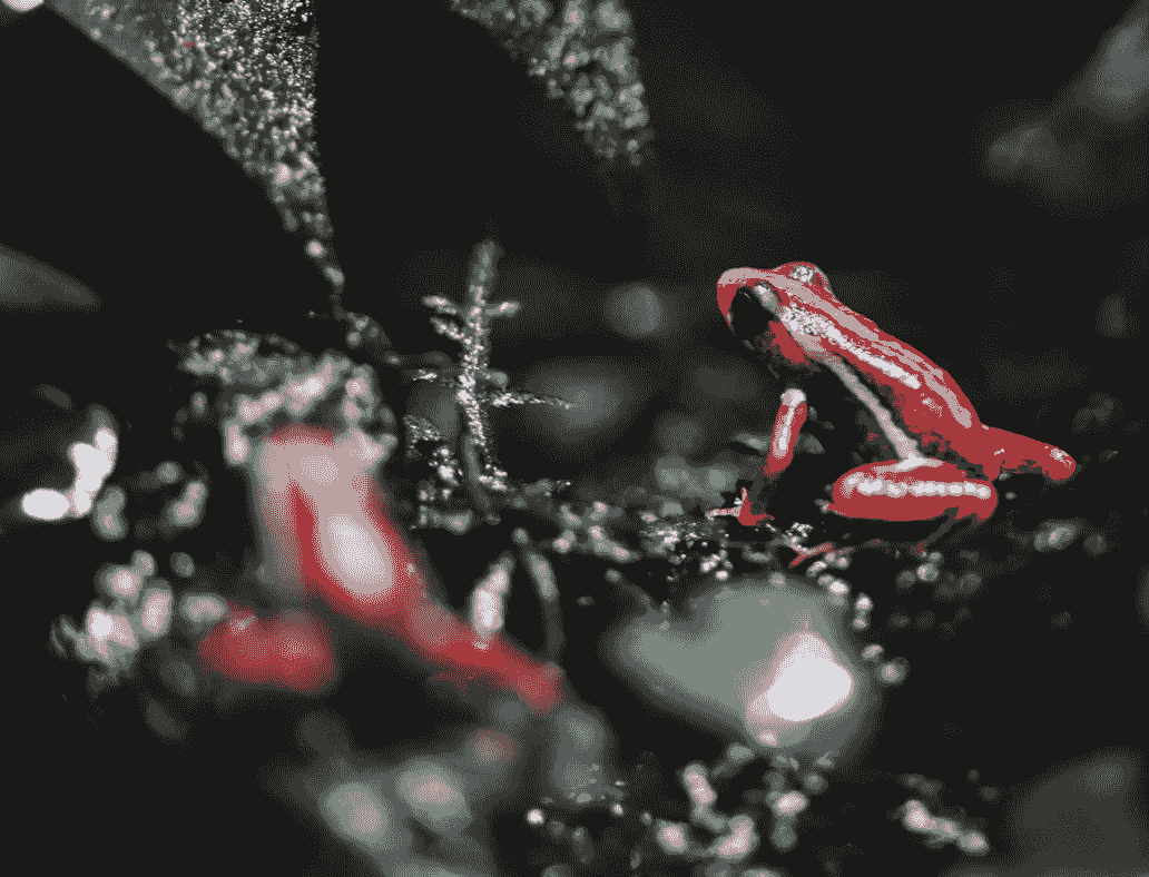 broken image