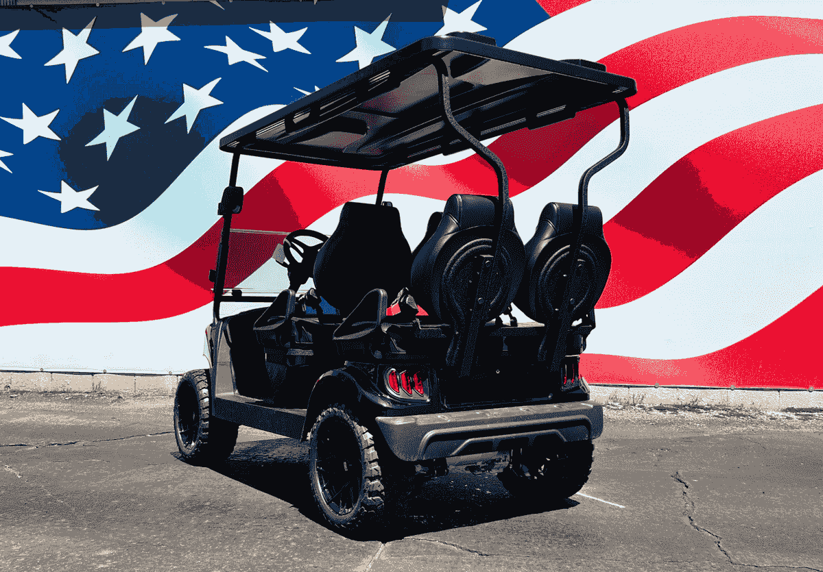 about the Sierra LSV AX1