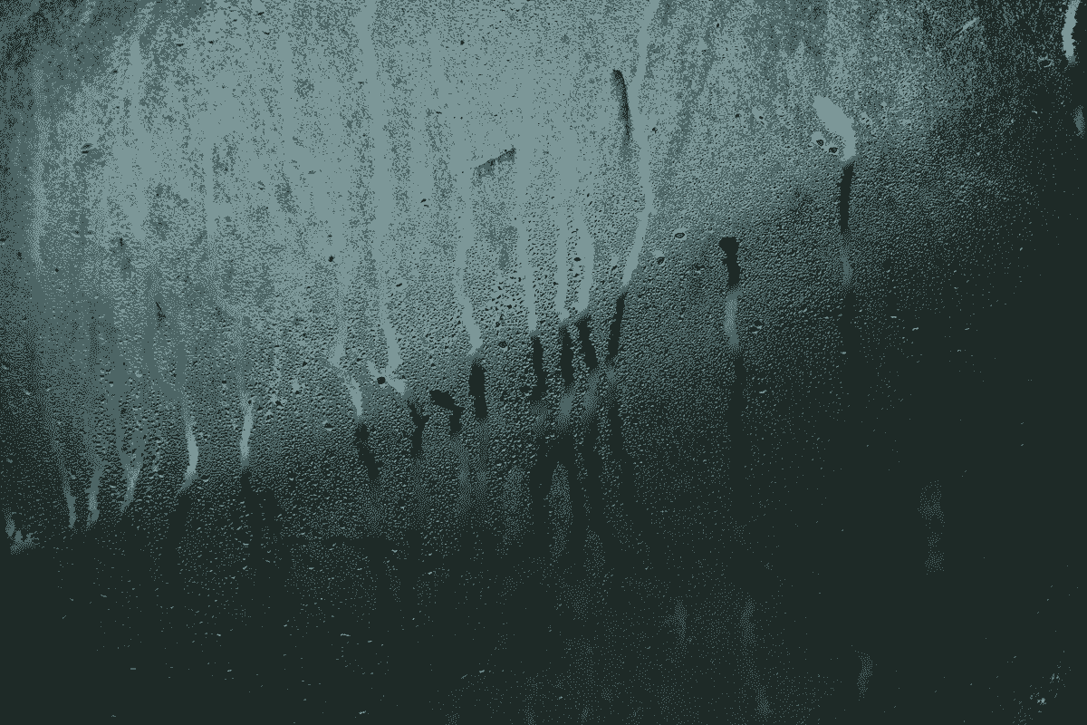broken image