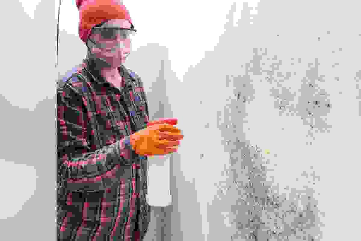 broken image