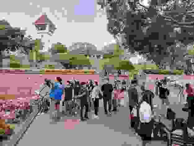 Section image