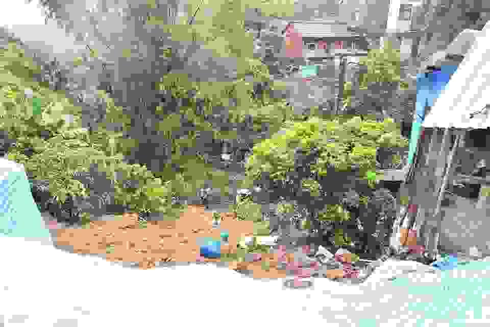 Section image