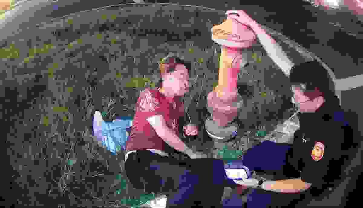 broken image