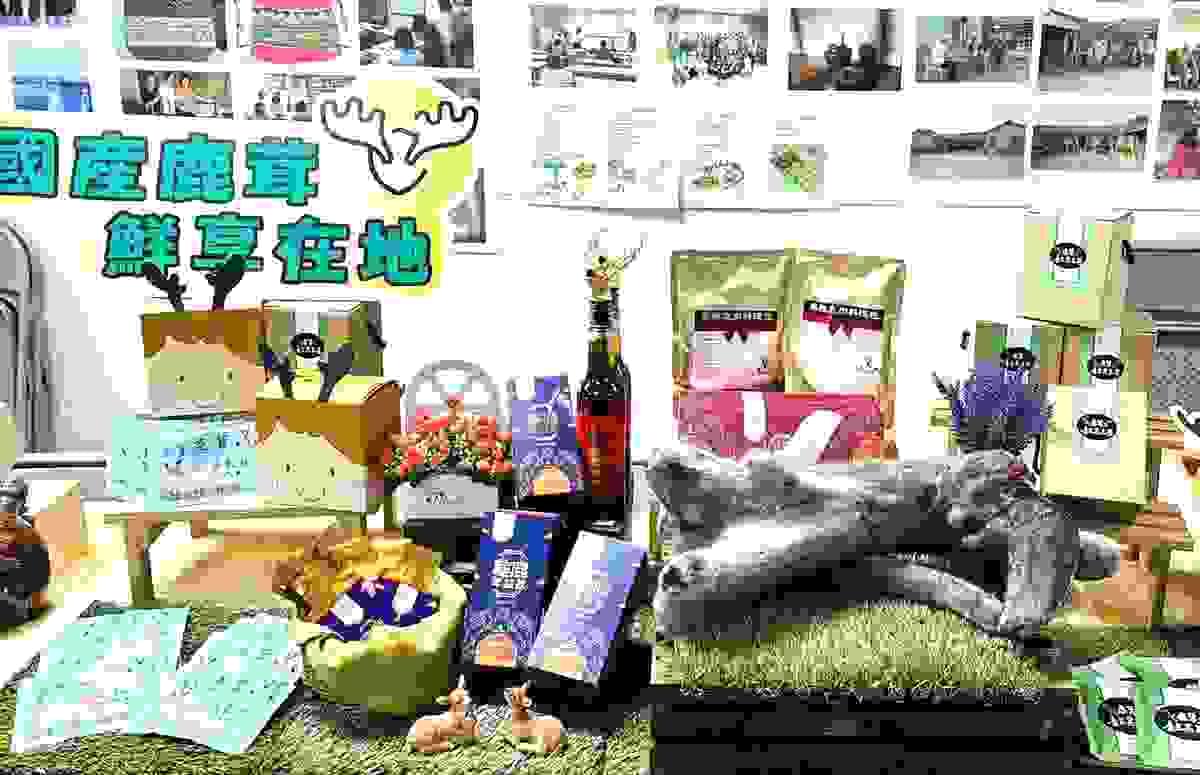 Section image