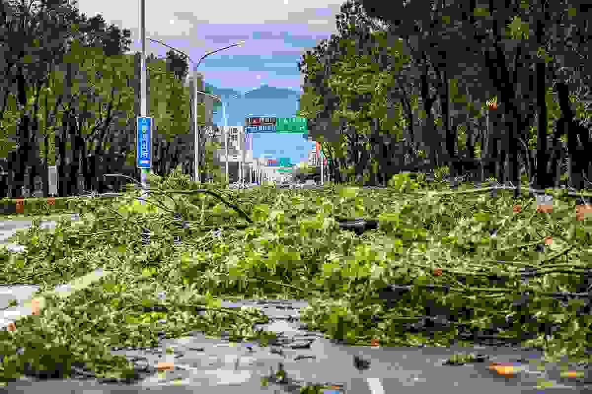 broken image