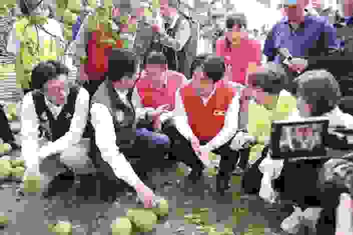 broken image
