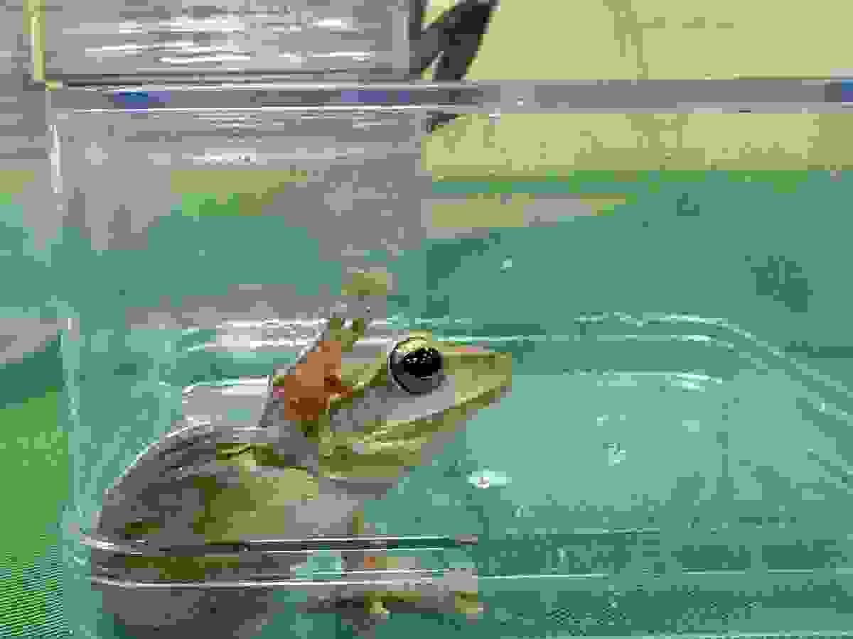 broken image
