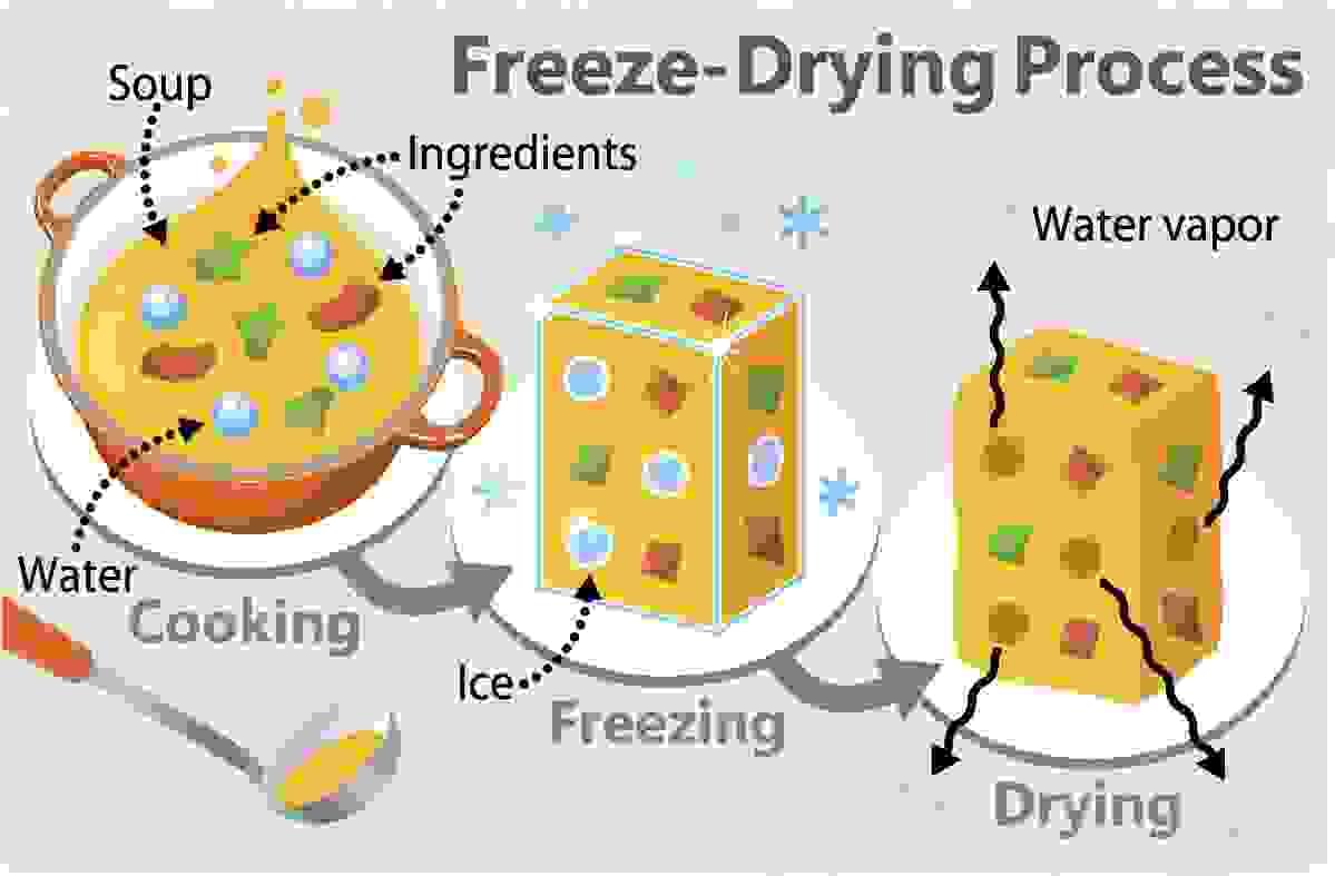 Freeze-Dried vs. Dehydrated