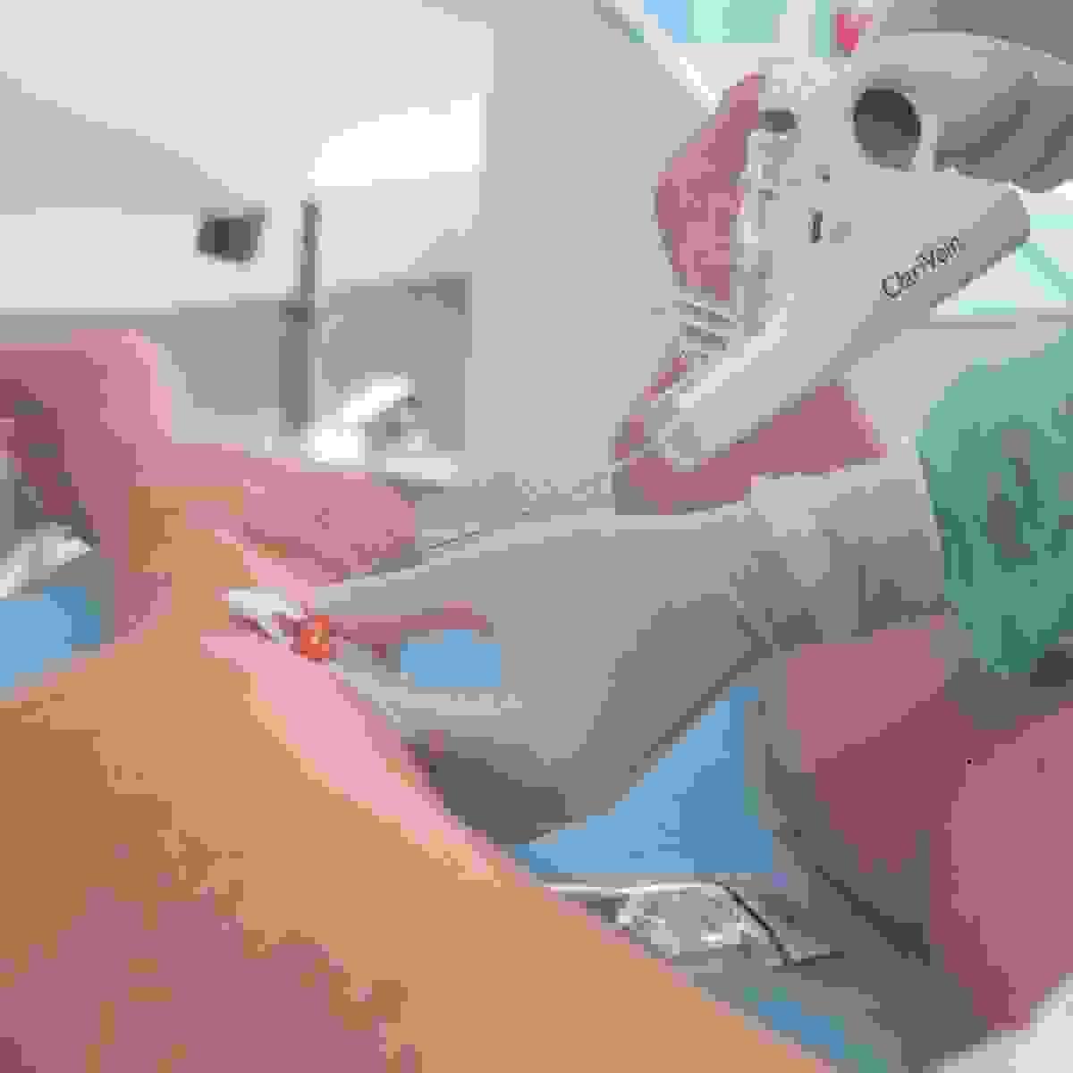 Section image