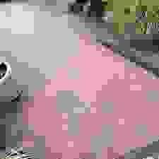 broken image