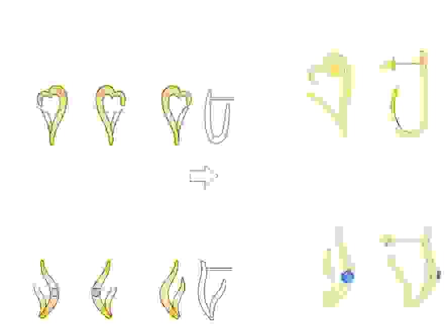 Section image