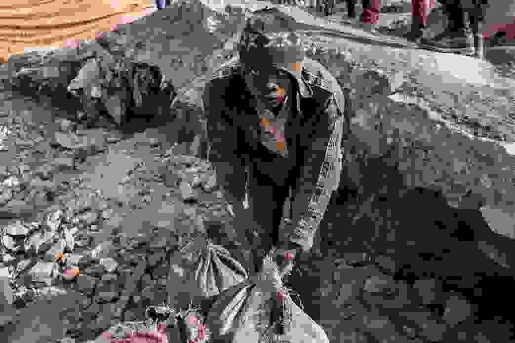 Section image