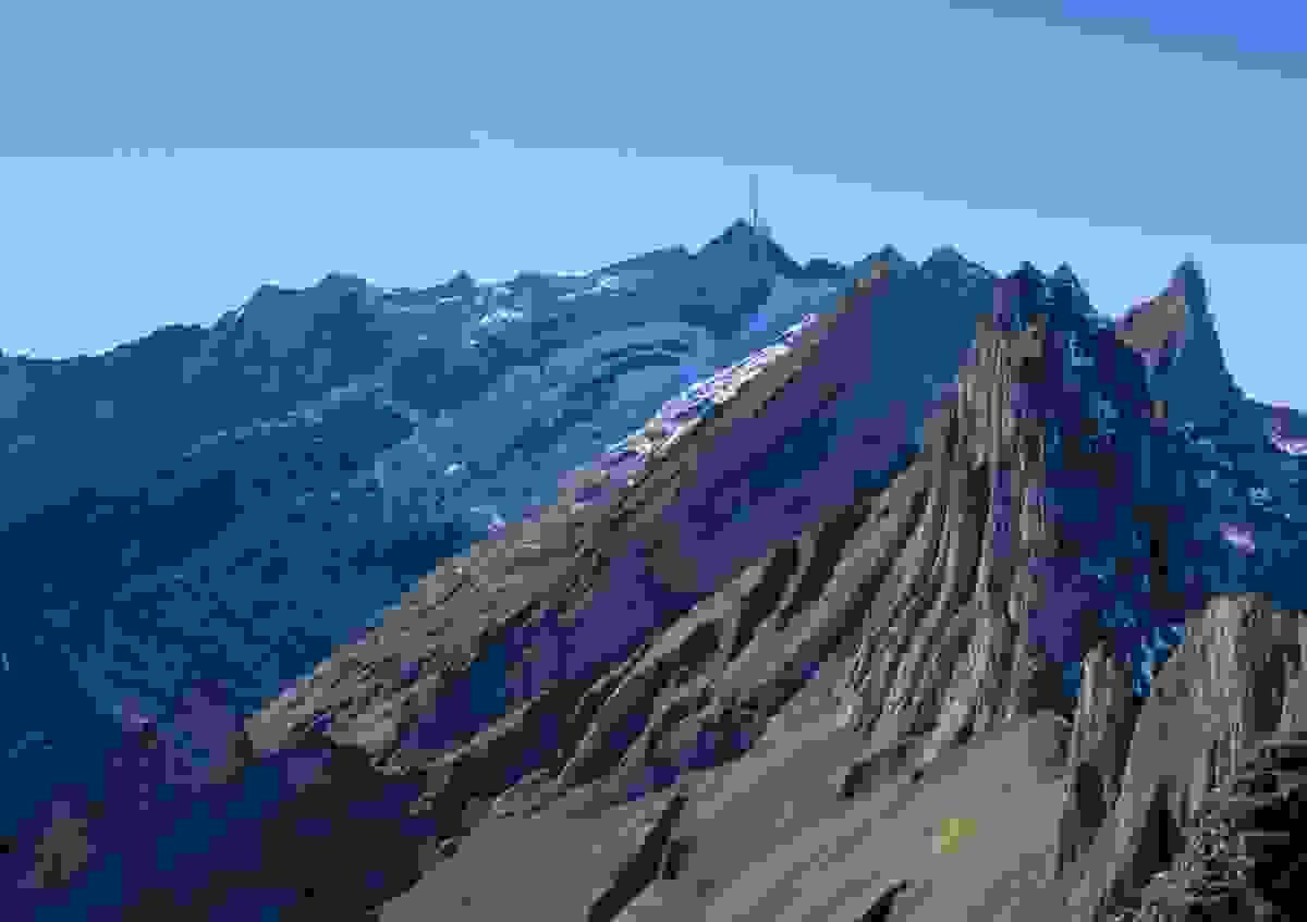 Section image