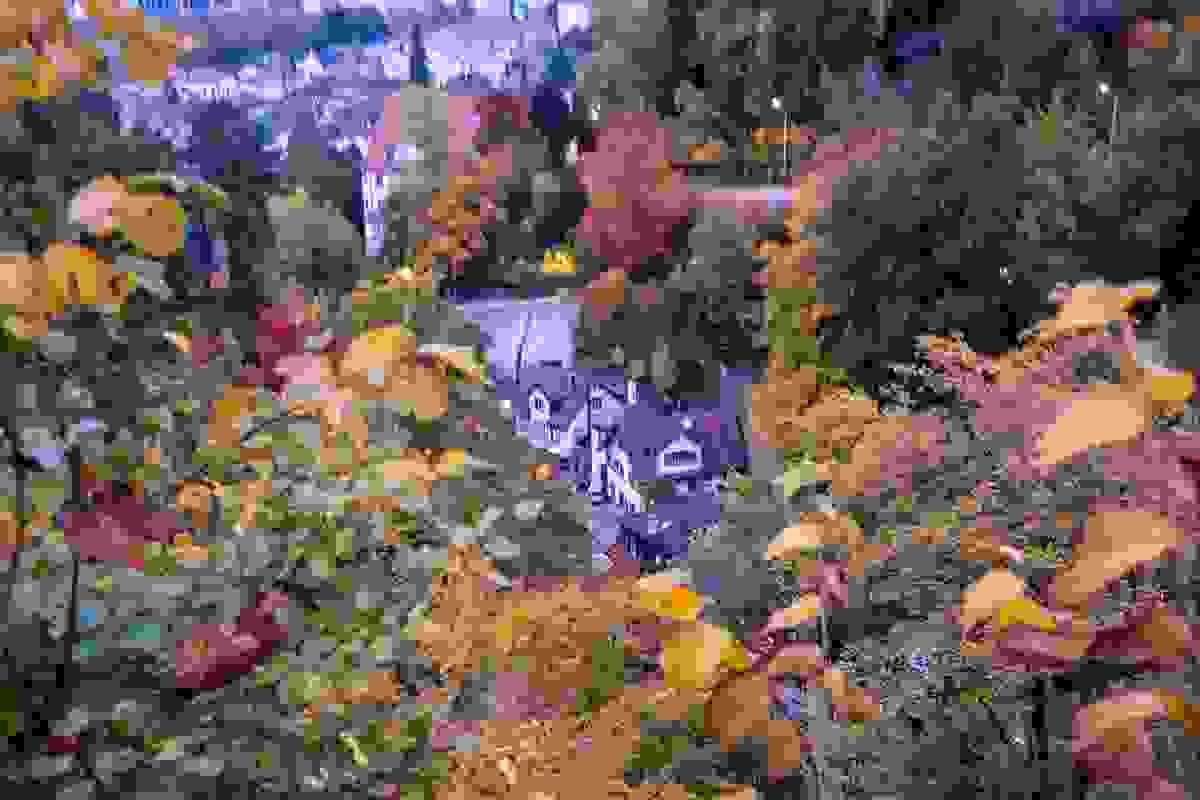 Section image