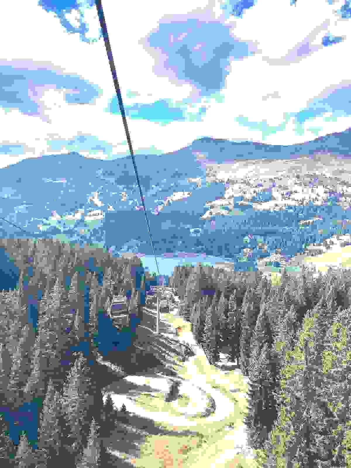Section image