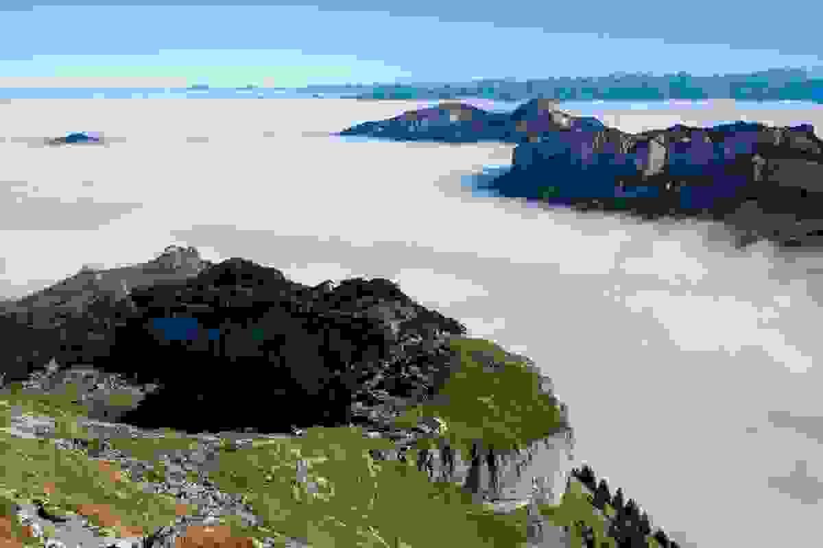 Section image