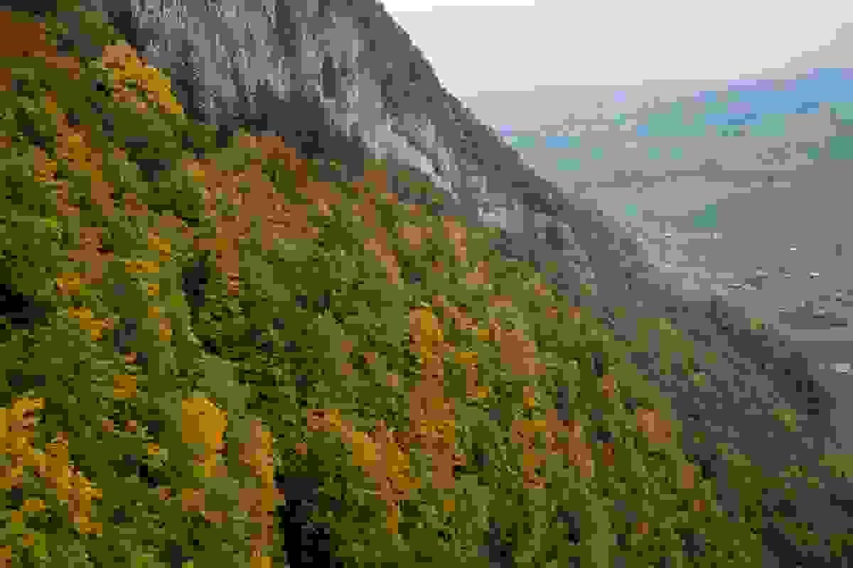 Section image