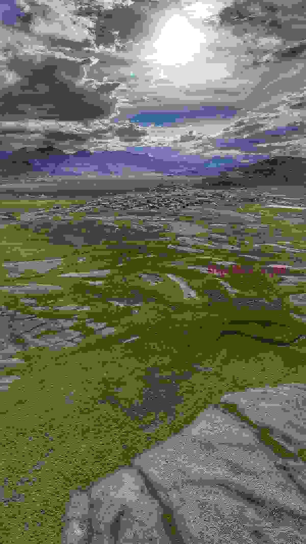 Section image