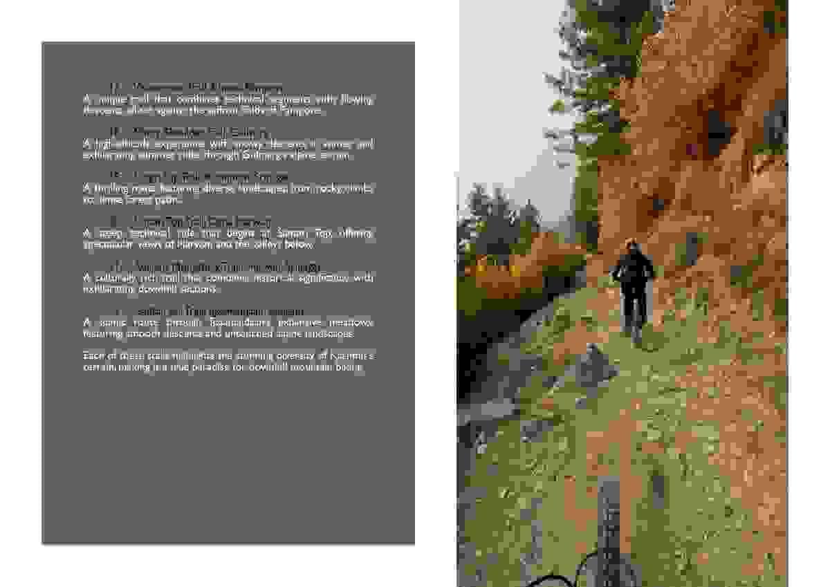 Section image