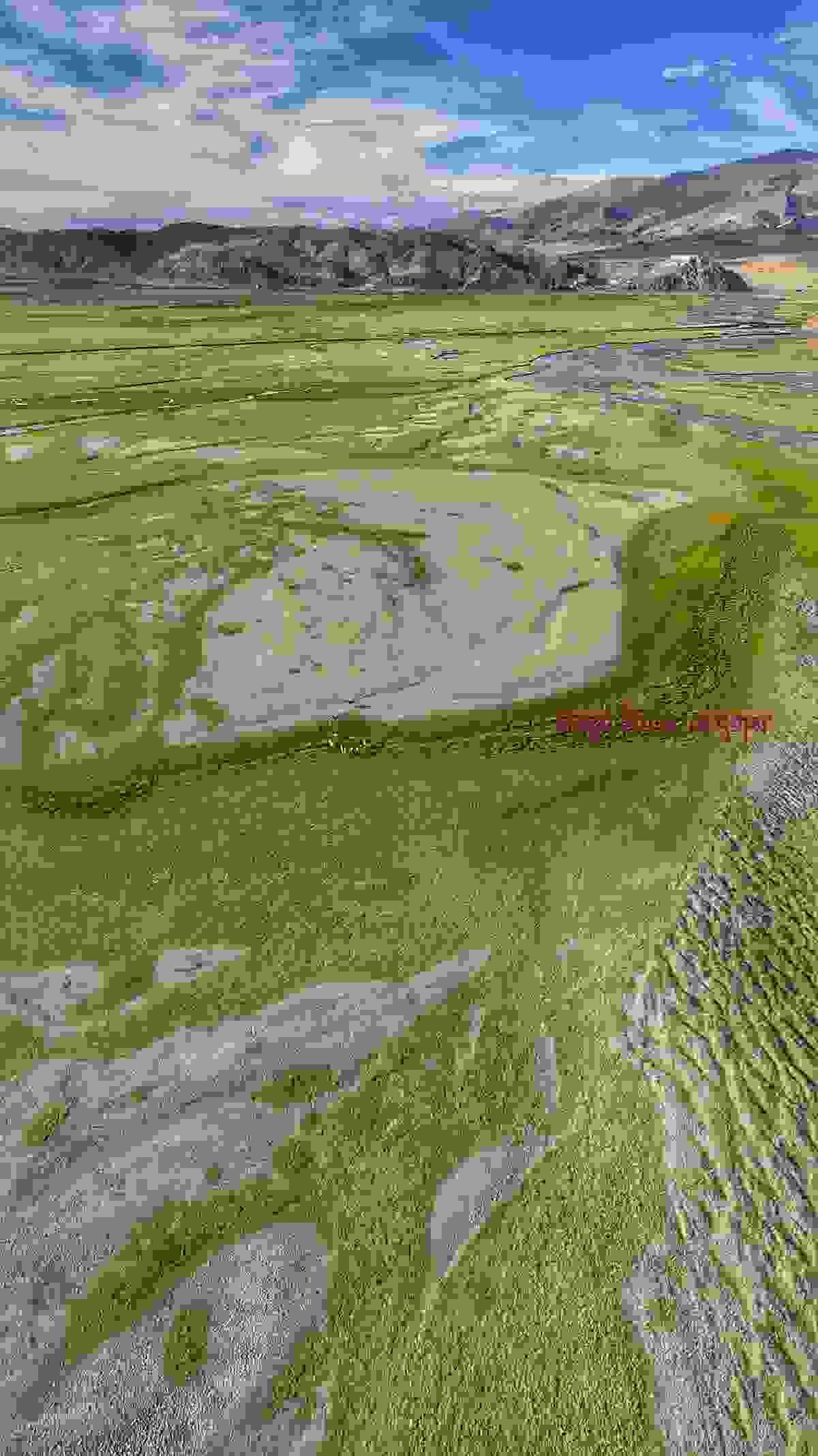 Section image