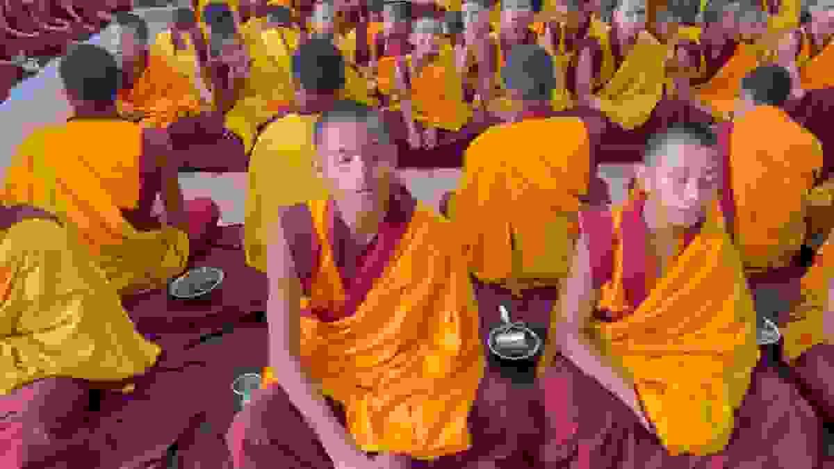 broken image