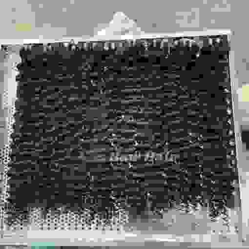 broken image