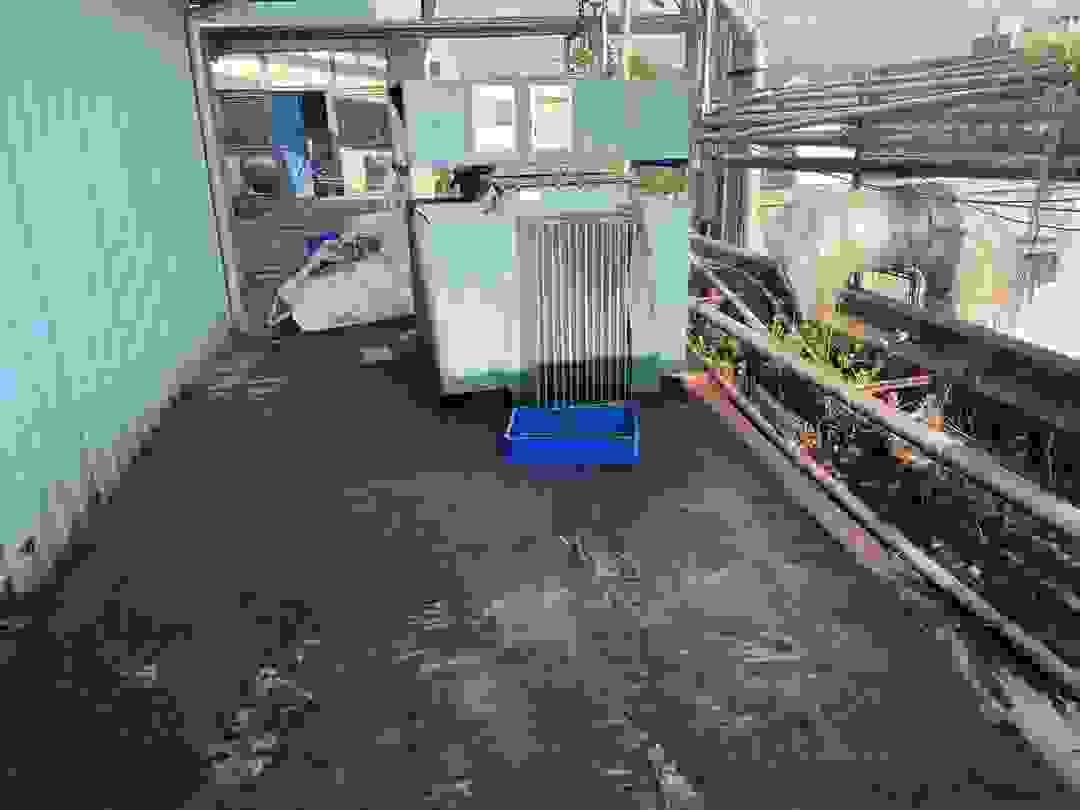 廠務系統高壓變壓器拆除清運 廠務系統高壓變壓器拆除清運