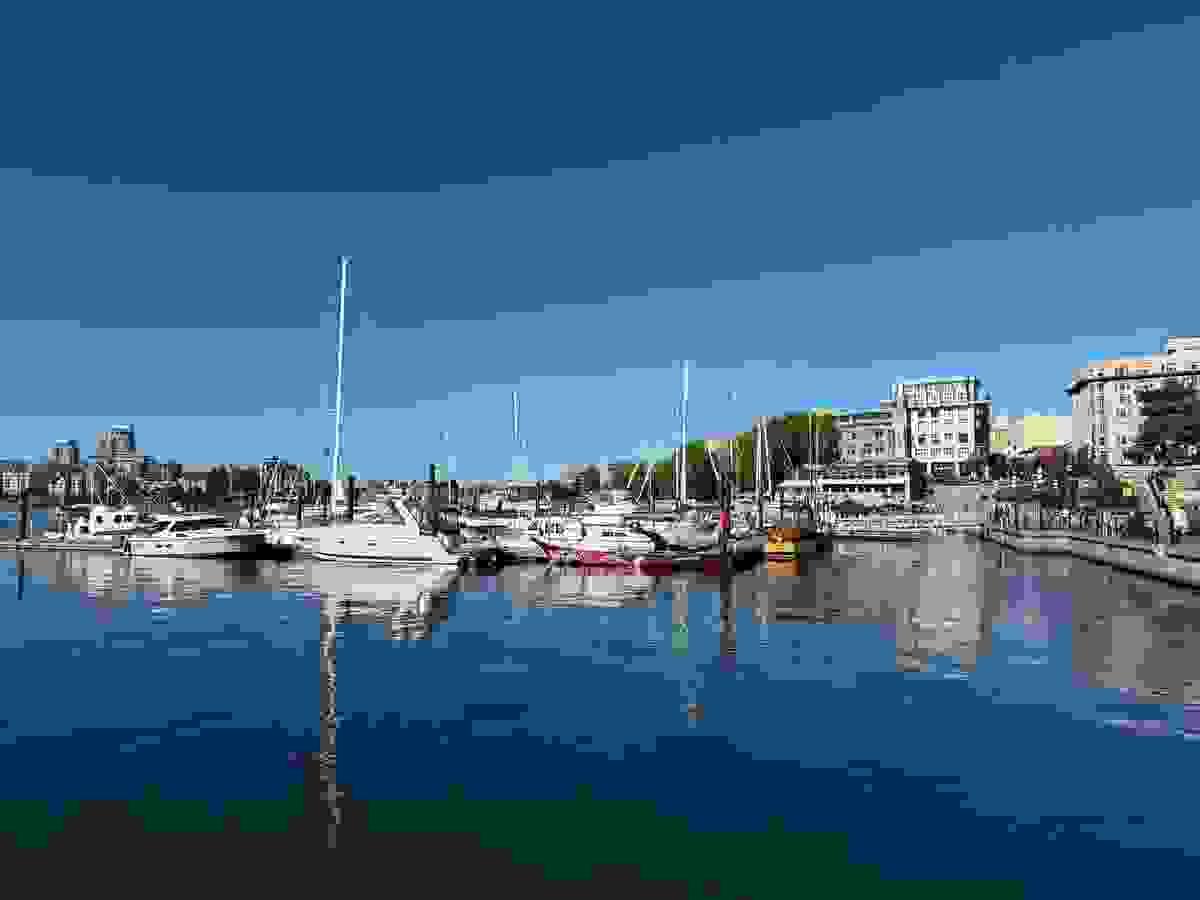 Section image