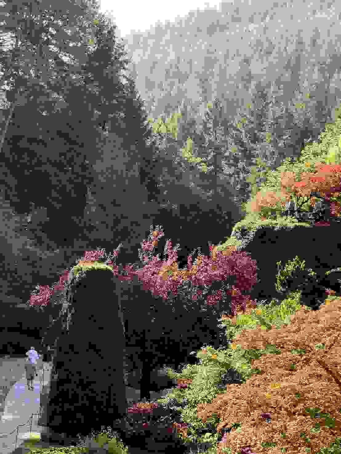 Section image