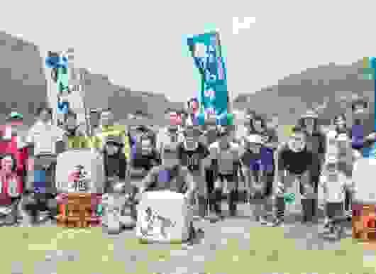 Section image